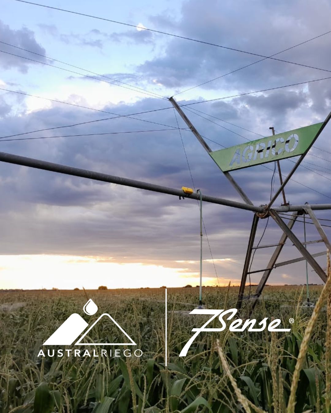 7Sense enters the Chilean market with Austral Riego SpA