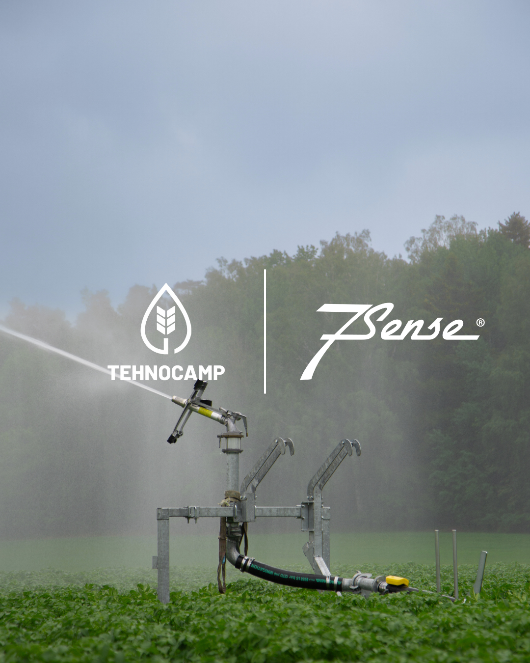 7Sense strengthens its presence in Romania through partnership with TEHNOCAMP SRL